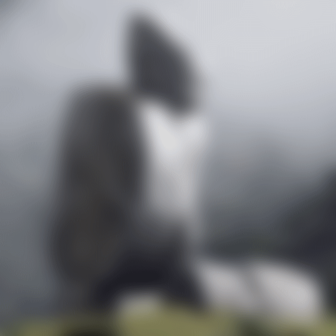 �E�F�u �A�j���[�^